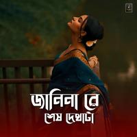 জানিনা রে শেষ দেখাটা