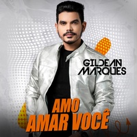 Amo Amar Você