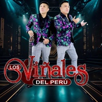 Mi venganza