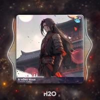 Ải Hồng Nhan - Remix