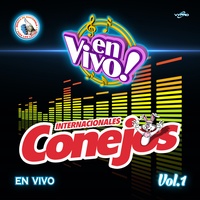 Mix Merengues: Sin Ti / a Ti Te Gusta - En Vivo