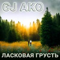 Красивая мелодия для души без слов No4 (АО микс)