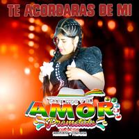 Te Acordaras demi (Amor Prometido)