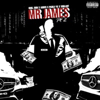 Mr. James Pt2