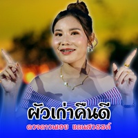 ผัวเก่าคืนดี