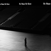 No Haav No Love