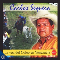 A un Amigo Coleador