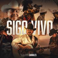 Sigo Vivo