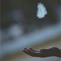 Peacefully beautiful