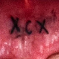 xcx