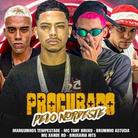 Procurado Pelo Nordeste (feat. Mc Xande Rd) (feat. Mc Xande Rd)