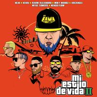 Mi Estilo de Vida II