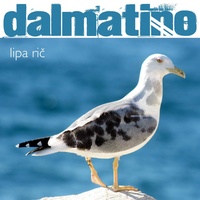 Di Cu - Radio Version