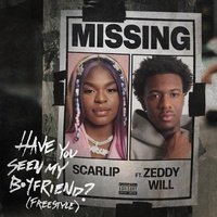 Have you seen my boyfriend (Freestyle) (feat. Zeddy Will)