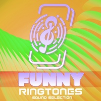 ワンピース「次回予告」