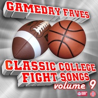 USC Cheer - South Carolina Gamecocks - Live