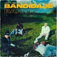 Bandidaje