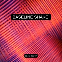 Baseline Shake