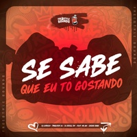 Se Sabe Que Eu To Gostando