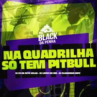 Na Quadrilha Só Tem Pitbull