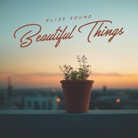 Beautiful Things