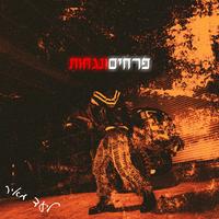 כמו שאני