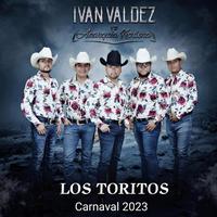 Los Toritos Carnaval 2023