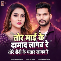 Tor Mai Ke Damad Lagab Re Tor Didi Ke Bhatar Lagab Re