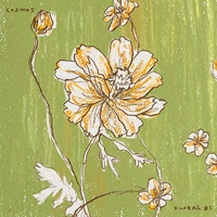 Cosmos