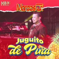 Juguito de Piña