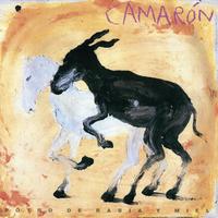 Un Caballo Y Una Yegua - Rumba