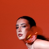 MATADOR