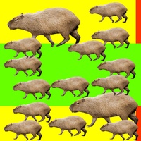 КАПИБАРА