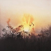 Разбуди меня