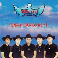 Por El Camino