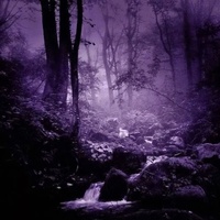 hunting for witches