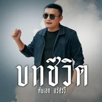 บทชีวิต