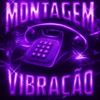 MONTAGEM VIBRAÇÃO