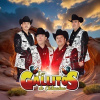 Porque me perdi unos dias-Los Gallitos de Chihuahua