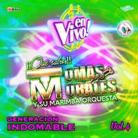 El Nuevo Tao Tao - En Vivo