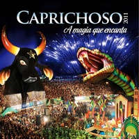 A Cor do Meu País