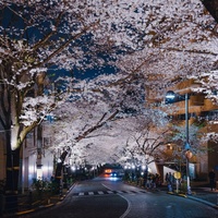 Shibuya