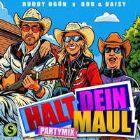 Halt dein Maul - Partymix