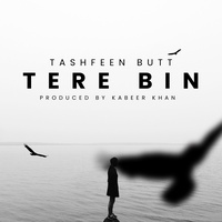 Tere Bin