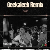 Geekaleek - Remix