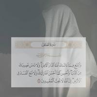 ما تيسر من سورة القصص - عمر بن ضياء الدين
