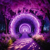 Lights of Future