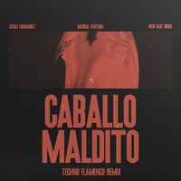 Caballo maldito - Techno Flamenco Remix