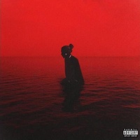 Homicide (Leak)