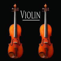 Bach Violin Concerto in a Minor 1st Movement